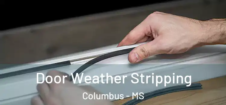 Door Weather Stripping Columbus - MS
