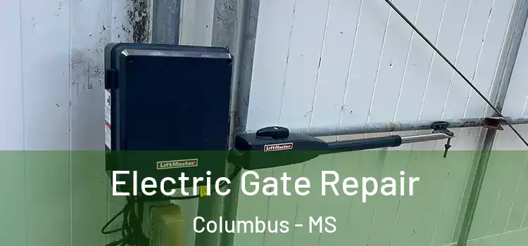 Electric Gate Repair Columbus - MS
