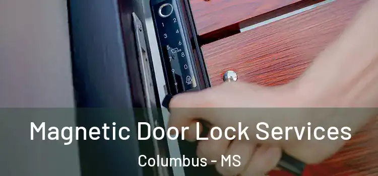 Magnetic Door Lock Services Columbus - MS