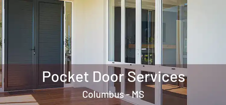 Pocket Door Services Columbus - MS